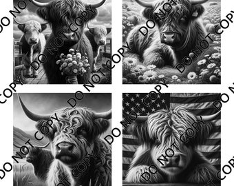 Highland Cow (4 images) PNG Laser File with Converted files for Slate Coasters.