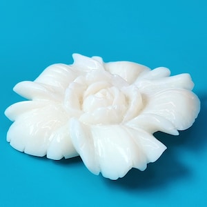 Mother of Pearl White Rose