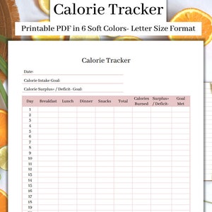 Soft Colors Calorie Tracker, Calorie Planner, Monthly Calorie Tracker Printable, Diet Journal, Daily Food Journal - Letter Size PDF