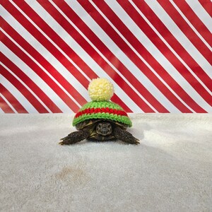 Christmas Elf Hat turtle/tortoise cosy
