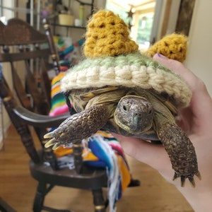 Bowser Turtle/Tortoise Cosy