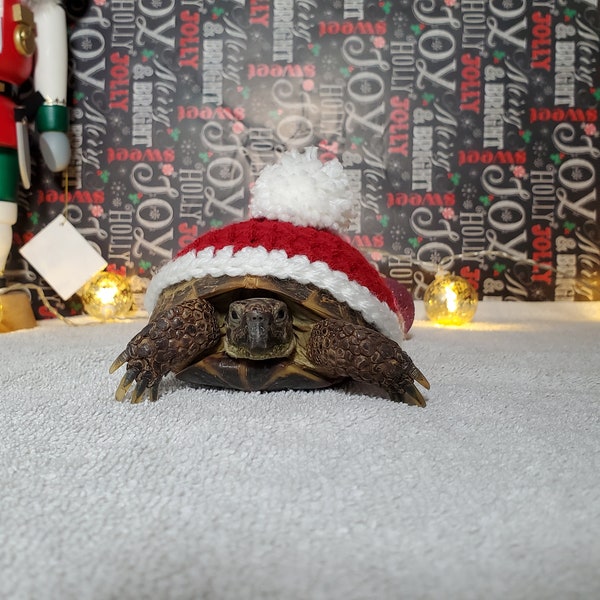 Santa Hat Turtle/Tortoise Cosy