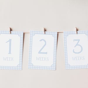 Blue Gingham Milestone Cards, Baby Boy Milestone Cards, Baby Boy ...