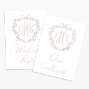 Monogram Crest Baby Milestone Cards, Dainty Pink Floral Crest Milestone Cards, Birth Details Card, Baby Shower Gift, Baby Girl Month Cards