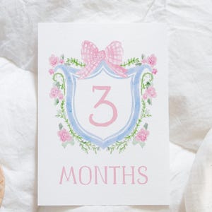 Baby Girl Milestone Cards, Watercolor Pink Floral Crest Milestone Cards ...