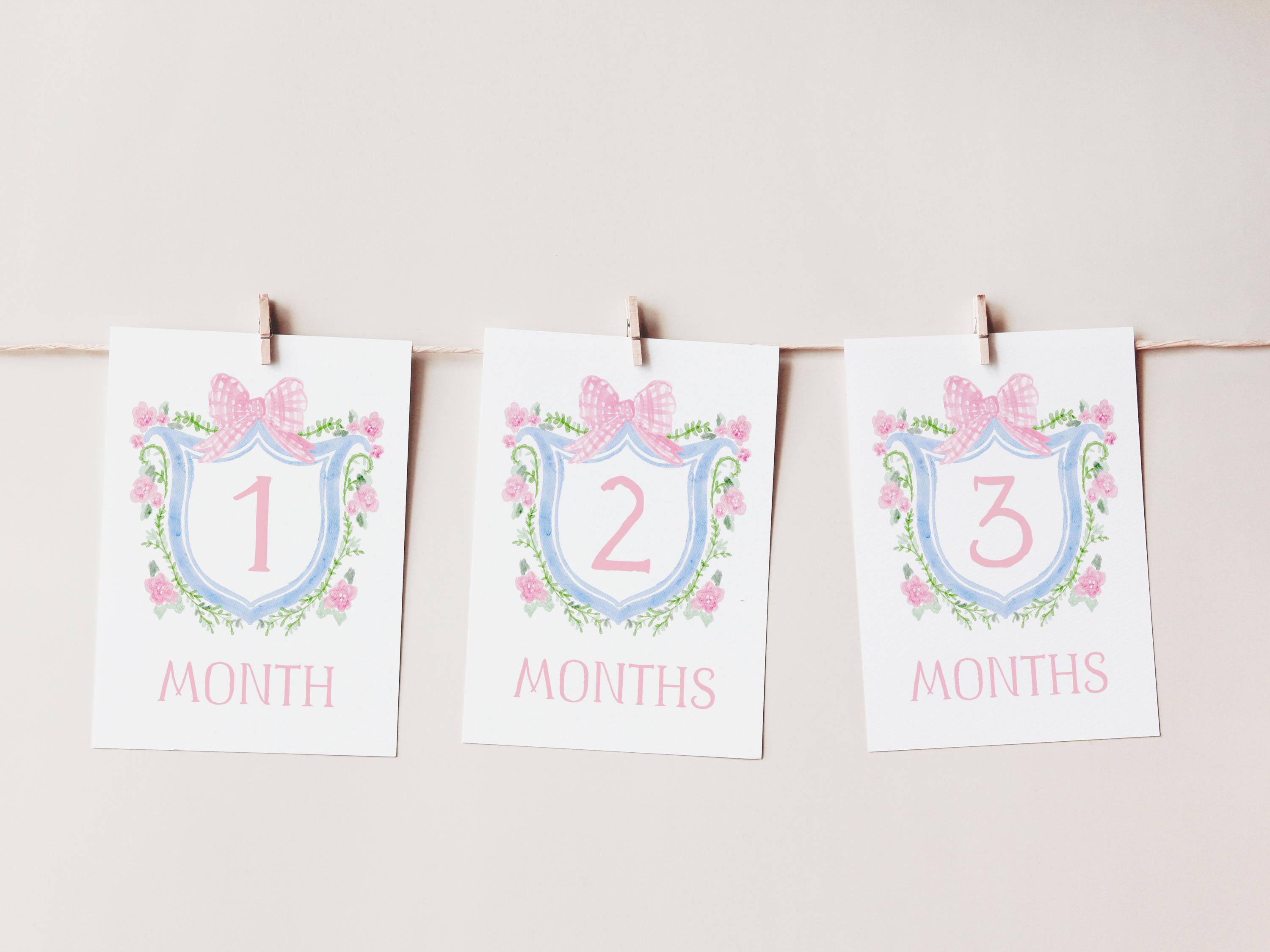 Baby Girl Milestone Cards, Watercolor Pink Floral Crest Milestone Cards ...