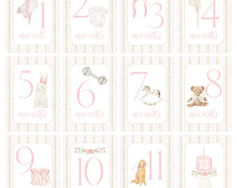 Baby Girl Milestone Cards, Watercolor Pink Green Floral Milestone Cards, Stork Girl Monthly Milestones, Baby Shower Gift, Baby Month Cards