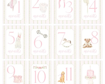 Baby Girl Milestone Cards, Watercolor Pink Green Floral Milestone Cards, Stork Girl Monthly Milestones, Baby Shower Gift, Baby Month Cards
