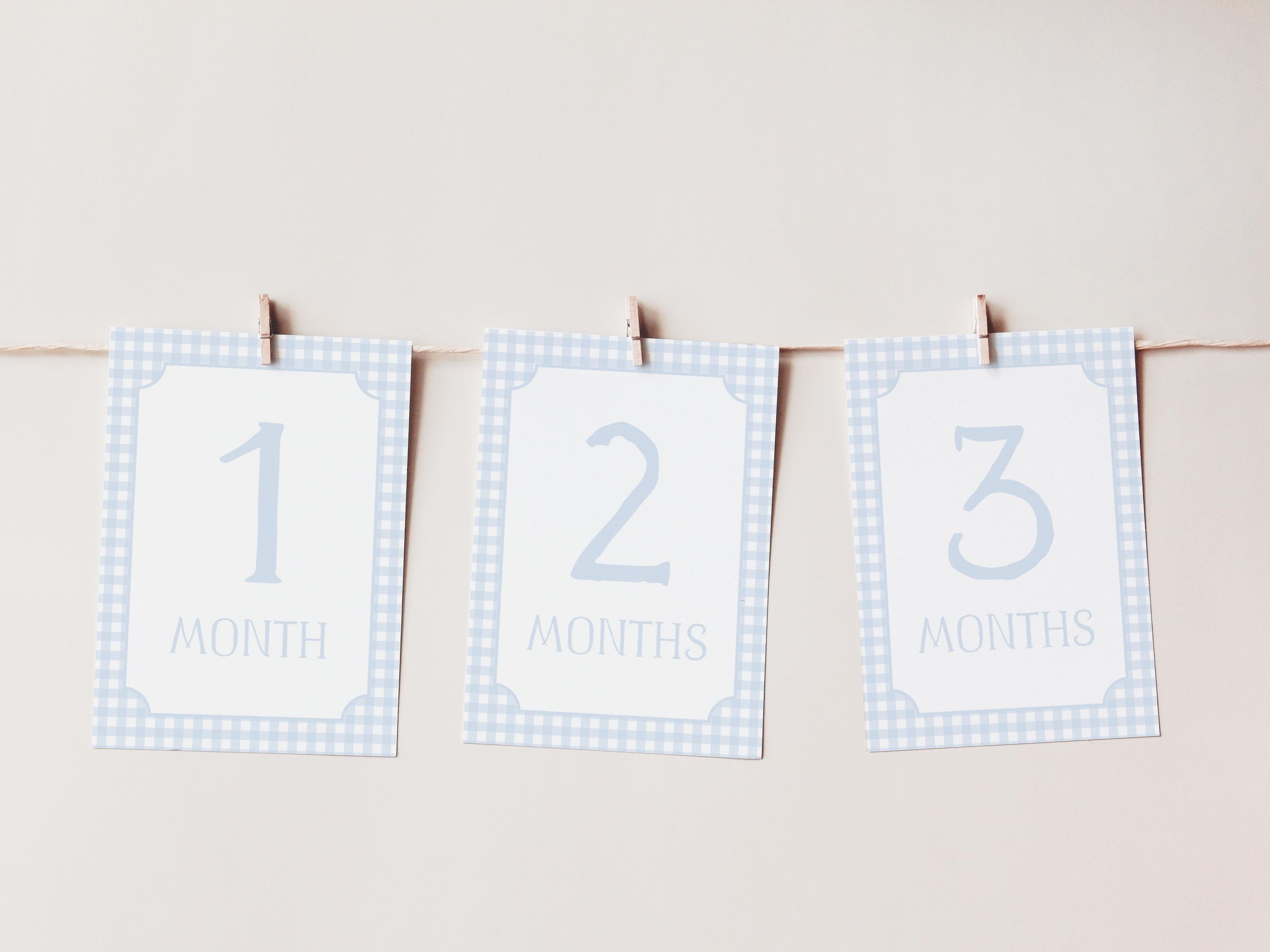 Blue Gingham Milestone Cards, Baby Boy Milestone Cards, Baby Boy ...