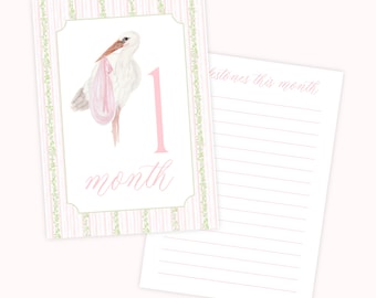Baby Girl Milestone Cards, Watercolor Pink Green Floral Milestone Cards, Stork Girl Monthly Milestones, Baby Shower Gift, Baby Month Cards