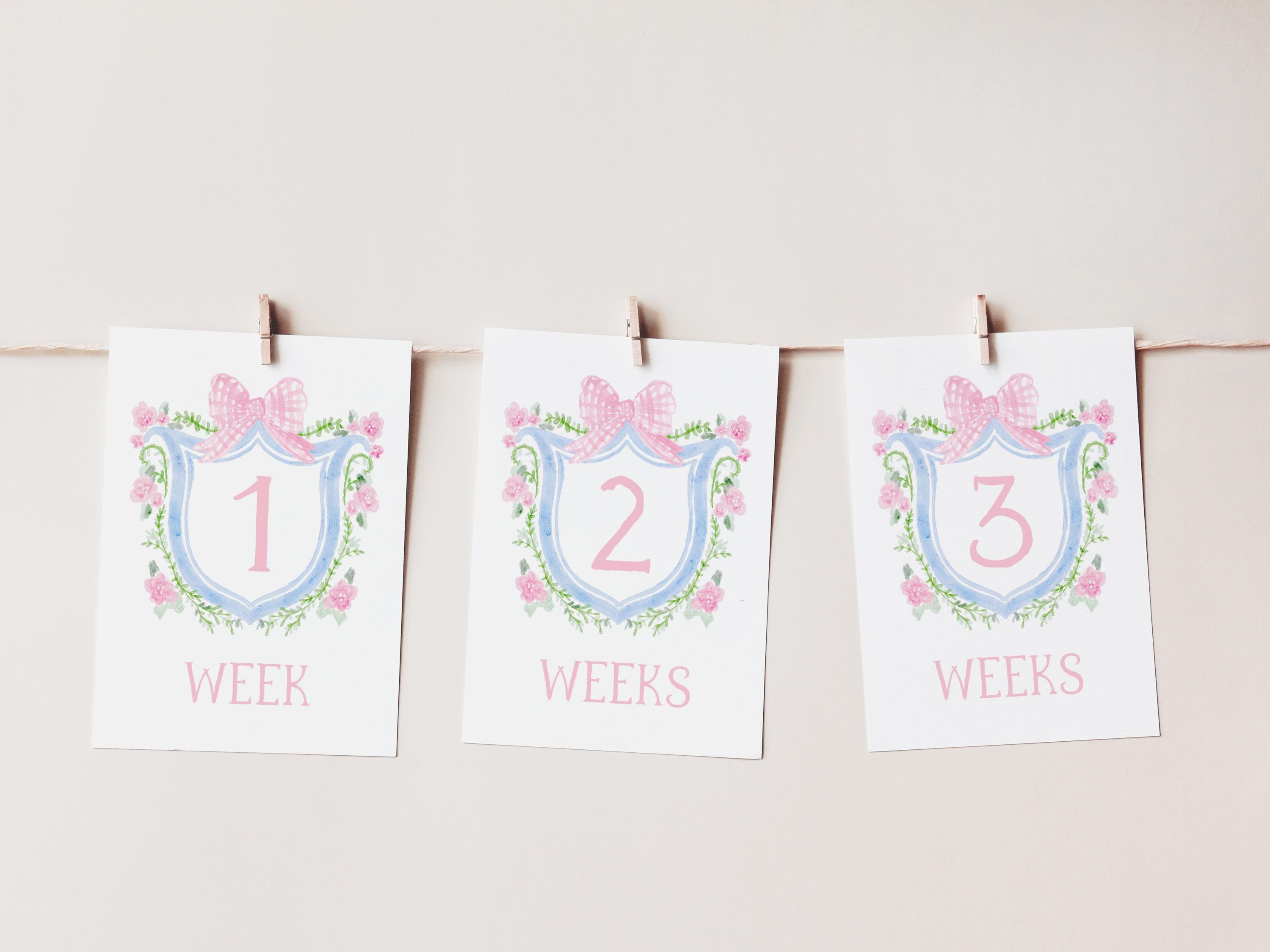 Baby Girl Milestone Cards, Watercolor Pink Floral Crest Milestone Cards ...