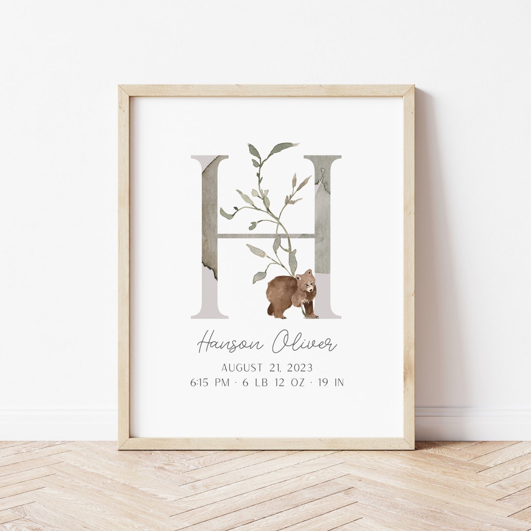Personalized Baby Birth Stats Poster Birth Announcement - Etsy
