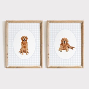 May include: Two framed prints featuring watercolor illustrations of Golden Retrievers. One shows a seated dog, the other a lying dog. Each dog is set against a white oval on a light blue and white gingham background, framed in light brown wood.