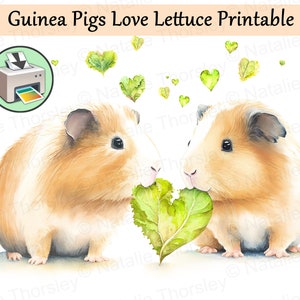 Cavia eet graag sla, aquarelstijl kunst schilderij, Valentijnsdag, bruiloft of verjaardag dag kaartsjabloon, afdrukbare digitale download
