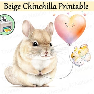 Beige chinchilla holding a heart balloon with a butterfly friend, watercolor style painting printable digital download birthday card