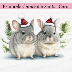 Cartão de Natal Chinchila, pintura em estilo aquarela para impressão, download digital