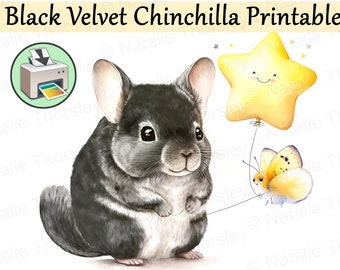 Black Velvet chinchilla holding a star balloon with a butterfly friend, watercolor style painting printable digital download birthday card