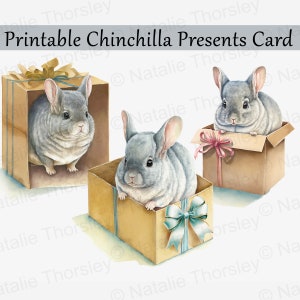 Chinchillas Weihnachtskarte, druckbare Malerei im Aquarell-Stil von Chins in Geschenken, digitaler Download