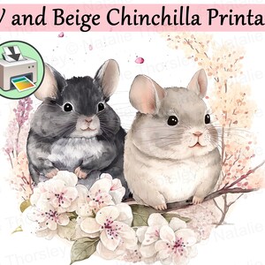 Chinchillas in circle of cherry blossom flowers, watercolor style painting printable digital download and card