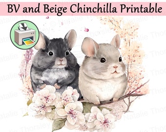 Chinchillas in circle of cherry blossom flowers, watercolor style painting printable digital download and card