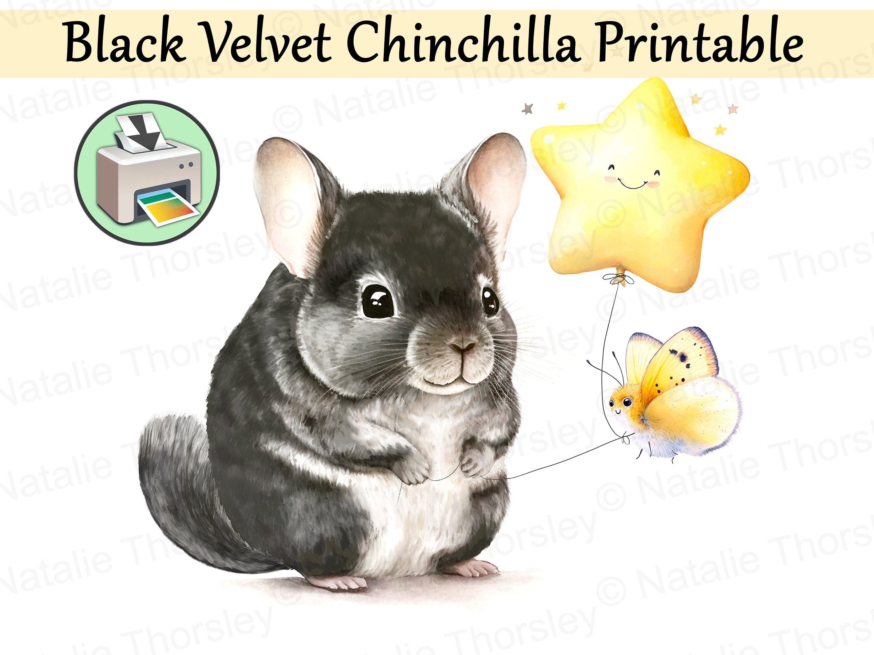 Anime Chinchilla Gifts & Merchandise for Sale | Redbubble
