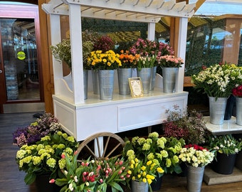 Può includere: Un carrello di fiori bianco espone una varietà di fiori recisi freschi in secchi di metallo zincato. I fiori includono tulipani, rose e altri fiori di stagione nelle tonalità del giallo, rosa, rosso e viola. Il carrello ha una ruota di legno decorativa e un tetto in stile pergola.
