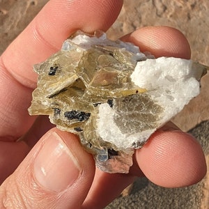 Clúster de especímenes de mica dorada en matriz, de tamaño pequeño. Mica dorada con especificaciones de turmalina. Hermoso cúmulo mineral natural GM2
