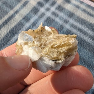 Golden Mica Specimin Cluster on Matric, Small Sized.  Gold Mica with Tourmaline Specs. Beautiful natural mineral cluster GM1