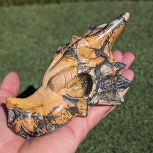 Maligano Jasper Dragon Skull, Rare, 5" long, Medium size, Crystal Dragon Head, Skull, hand carved, high quality and Details! MJD2