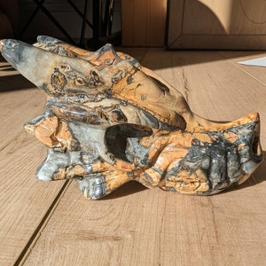 Maligano Jasper Dragon Skull, Rare, 4.8" long, Medium size, Crystal Dragon Head, Skull, hand carved, high quality Indonesian! MJD2