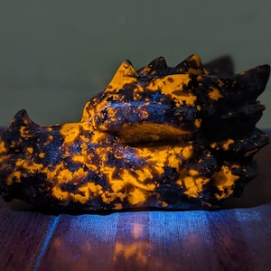 Yooperlite Dragon Head, 2.8&quot; Medium size.  Yooperlite Dragon Skull carving,   Crystal Dragon UV Reactive