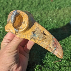 Maligano Jasper  Raven Skull, Rare, 5", Crystal Raven Skull, Crystal Crow Skull.