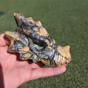 Druzy Maligano Jasper Dragon Skull, Rare, 4.8" long, Medium size, Crystal Dragon Head, Skull, hand carved, high quality and Details! MJD4
