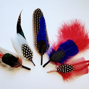 Real feathers Natural and Dyed Hat pin  / Hair  accessories of variety of  in Sizes ranging from from 3-5&quot;