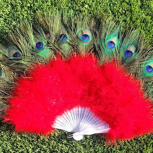 May include: A red feather hand fan with a white and silver folding fan in the center. The fan is surrounded by peacock feathers with blue eyes.