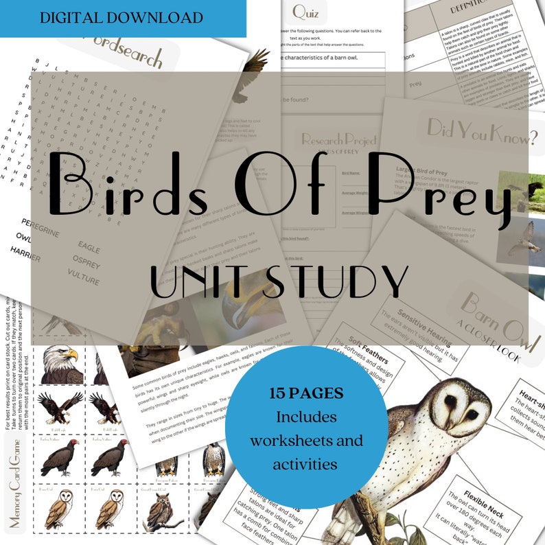 Birds of Prey Unit Study: Homeschool Worksheets (digital Download) - Etsy