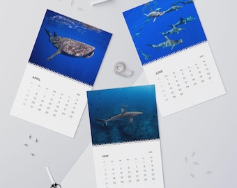 Calendarios de pared de tiburones (2026)