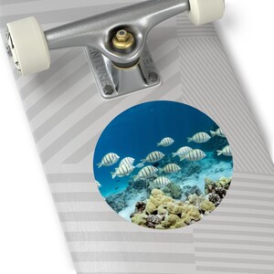 Manini, Tropical Fish Round Vinyl Stickers