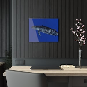 False Killer Whale Acrylic Print