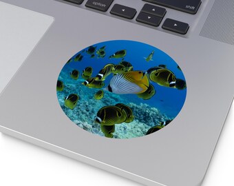 Könnte beinhalten: Ein runder Aufkleber mit einer Unterwasserszene mit zahlreichen gelb-schwarzen Fischen, die in einem leuchtend blauen Ozean schwimmen. Ein Fisch hat ein ausgeprägtes gelb-weißes Muster. Der Aufkleber befindet sich auf einem Laptop.