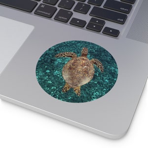 Sea Turtle Round Vinyl Stickers