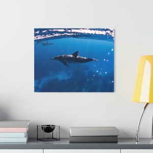 Acrylic Prints (French Cleat Hanging)
