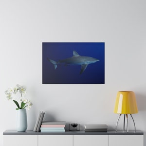 Shark Print Matte Canvas, Stretched, 0.75&quot;