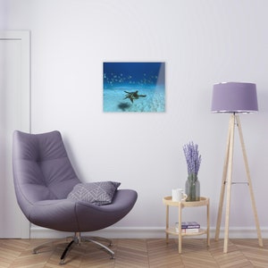 Sea Turtle, Honu Acrylic Print