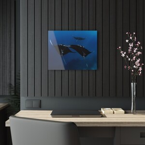 Manta Acrylic Print