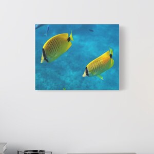 Matte Leinwand, aufgespannt, 3cm