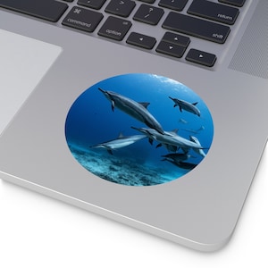 Spinner Dolphin Round Vinyl Stickers