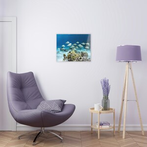 Manini, Tropical Fish Acrylic Print