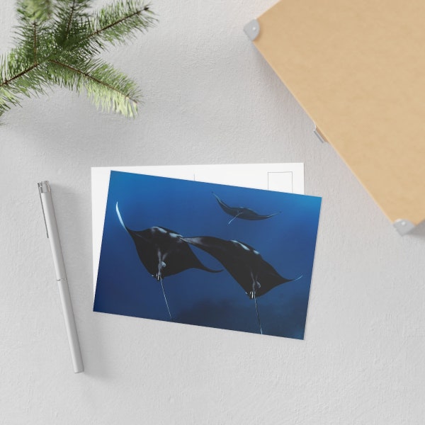 Manta Print Fine Art Postcards