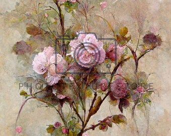 Fine Art Textures, Floral Overlay, Photoshop Overlays, Floral Layer, Photo editing, Textures overlays, Digital Backdrops,